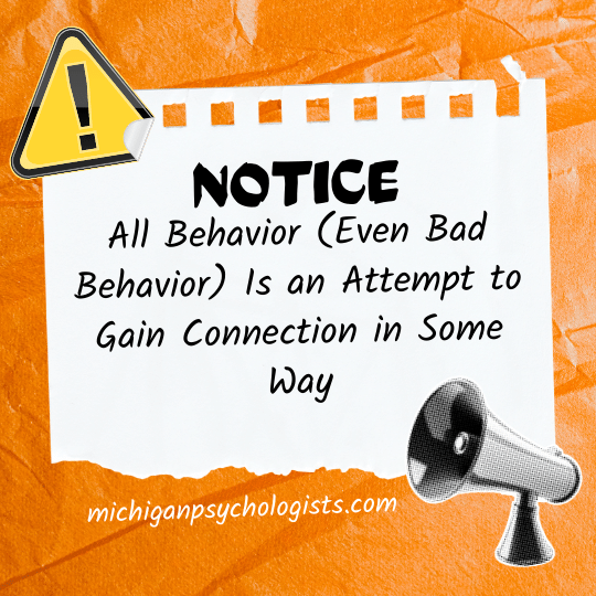 All Behavior Even Bad Behavior Is an Attempt to Gain Connection in Some Way