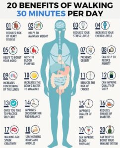 20 Benefits To Walking For 30 Minutes a Day